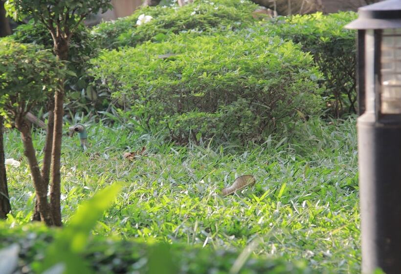 فندق Starry Angkor