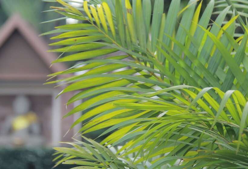 فندق Starry Angkor