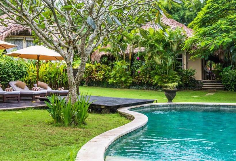 فندق Villa Mathis