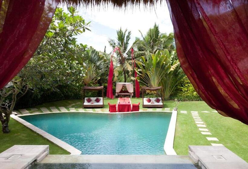 فندق Villa Mathis