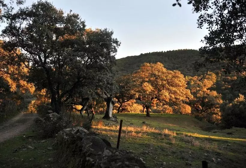 La Molinilla Apartamentos Y Hammam