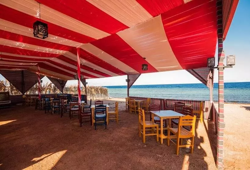 استراحتگاه Golden Heights Aqua Park Dahab