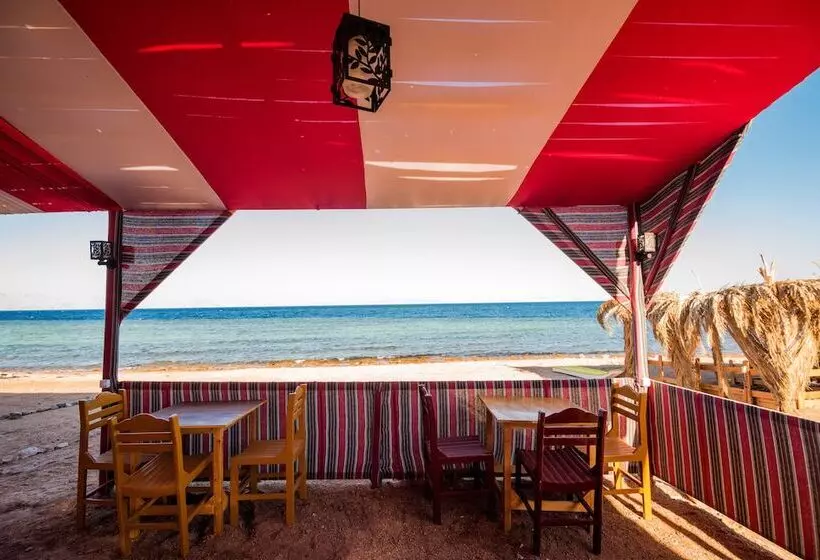 استراحتگاه Golden Heights Aqua Park Dahab