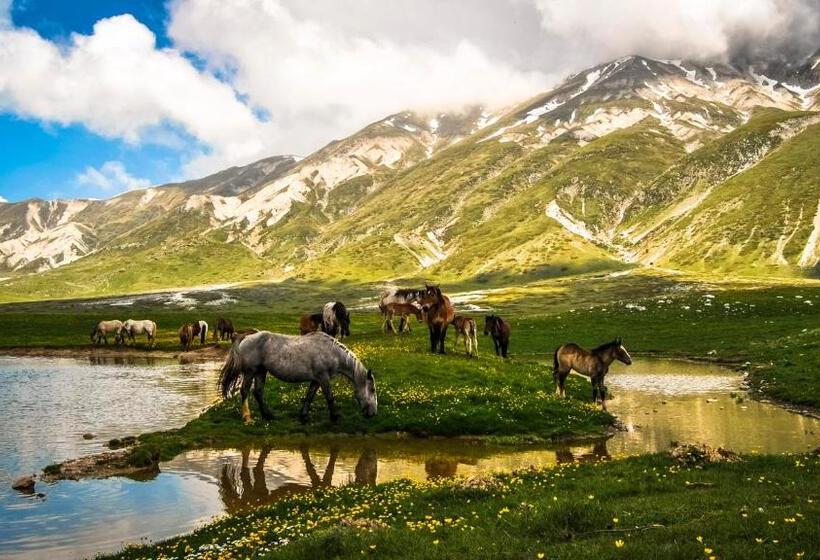 ホテル Panfilo Farmhouse