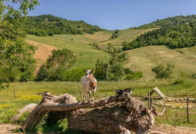 Hotelli Panfilo Farmhouse