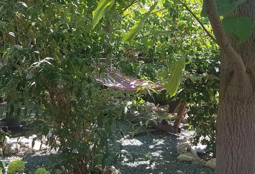 پانسیون Casa Magnolia