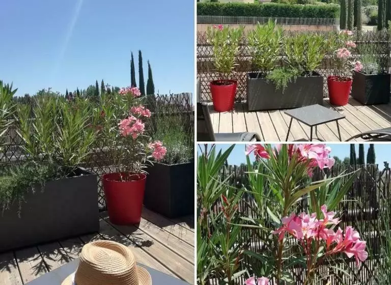 Sweet Home Studio Aix En Provence, Terrasse, Piscine, Resto