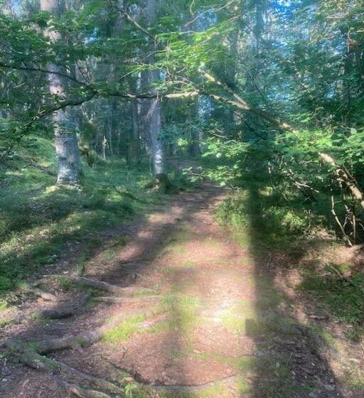 צימר Luxurious Studio Within Nature Next To Stockholm