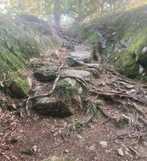 צימר Luxurious Studio Within Nature Next To Stockholm