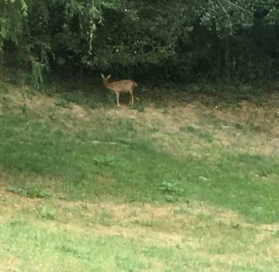 צימר Cosy Rooms Party Villa