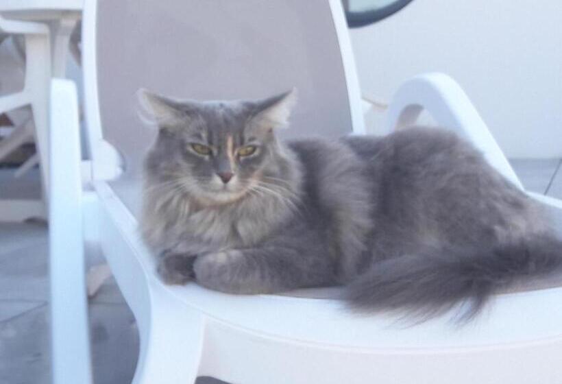 Nocleg ze śniadaniem Le Temps D Une Pause