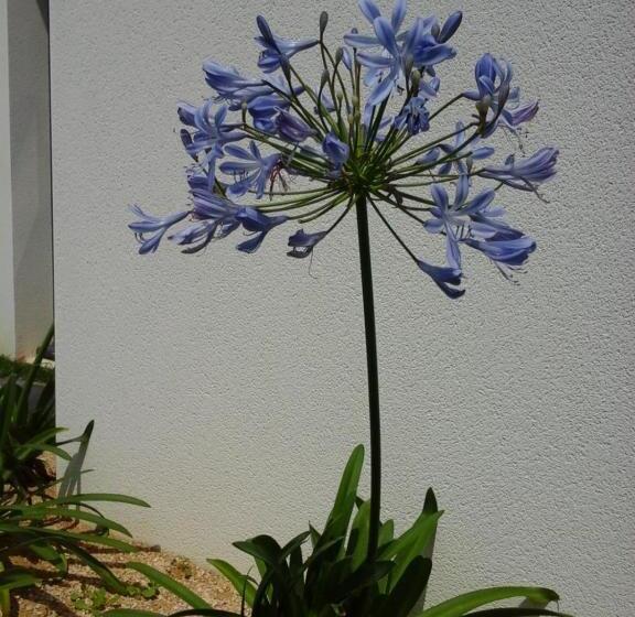 Nocleg ze śniadaniem Le Temps D Une Pause