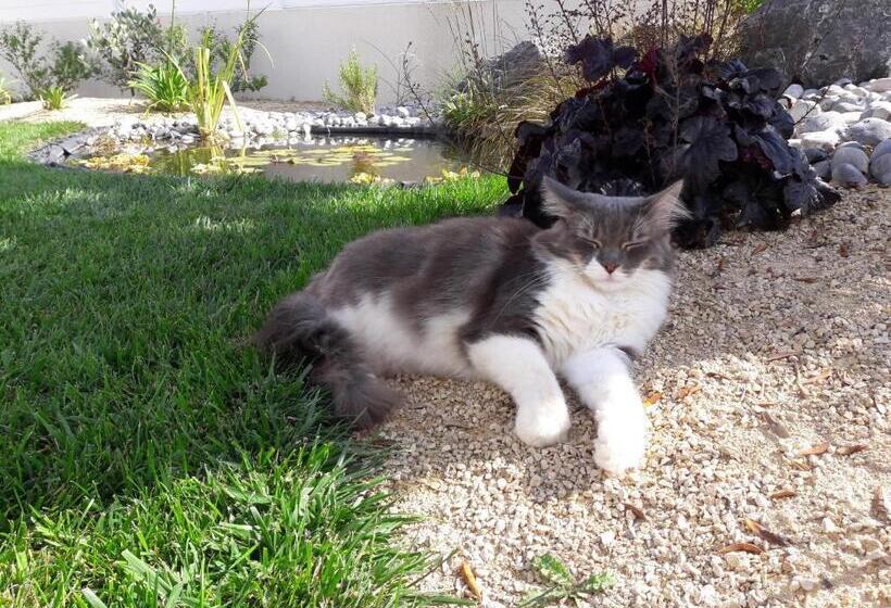 Nocleg ze śniadaniem Le Temps D Une Pause