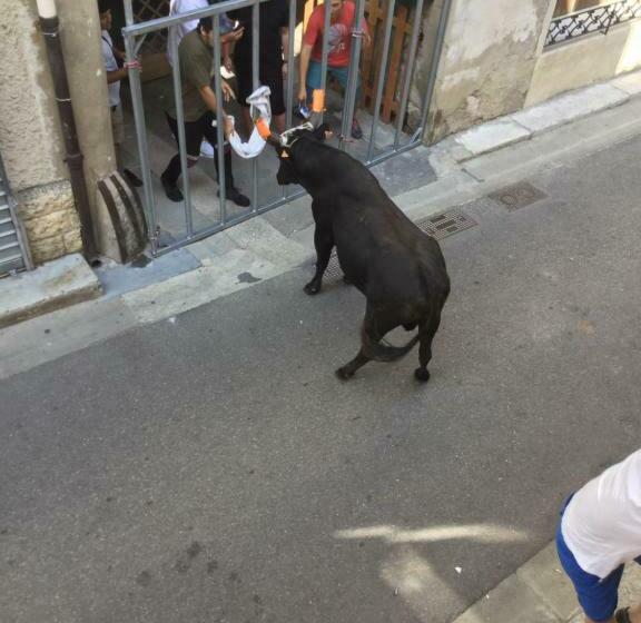 Bed and Breakfast Maison De Village Novissime