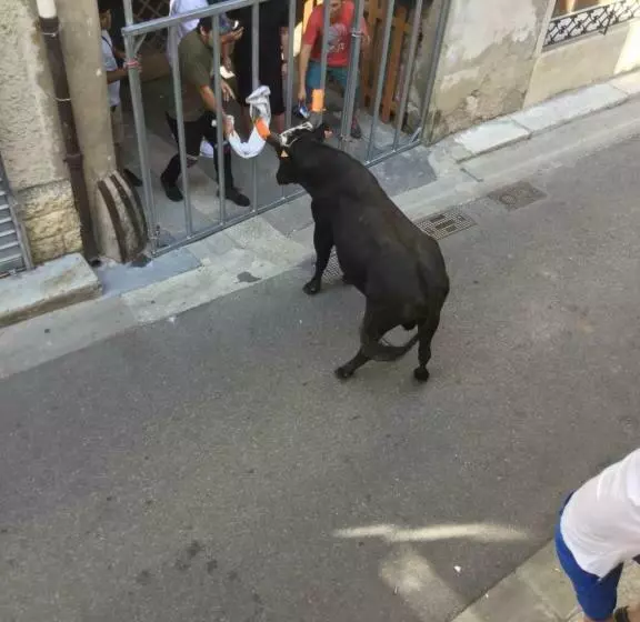 Aamiaismajoitus (B&B) Maison De Village Novissime