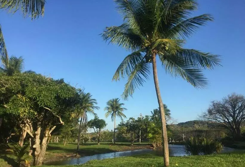 Blue Marlin Resort&spa