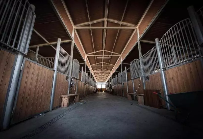 هتل Villaggio San Demetrio