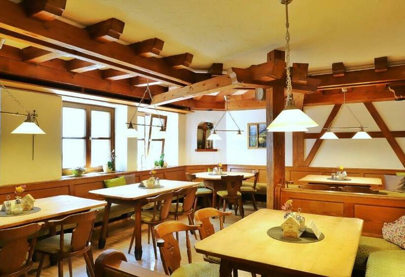 Общежитие Pension Adler