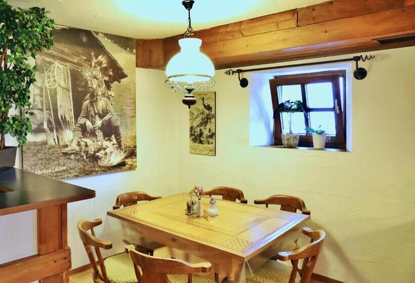 Общежитие Pension Adler