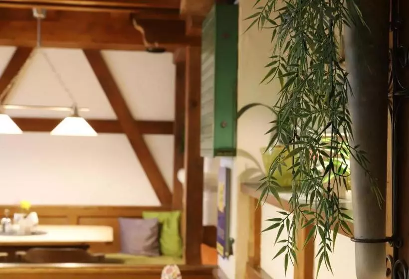 Retkeilymaja Pension Adler