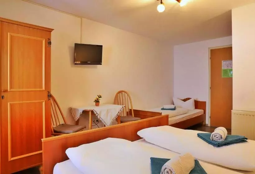 Retkeilymaja Pension Adler