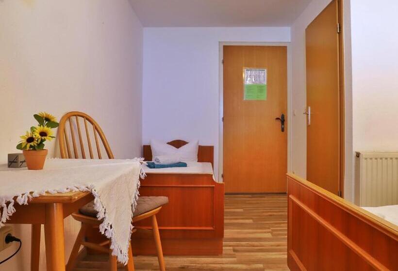 Общежитие Pension Adler