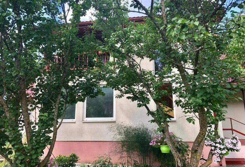 Pensió Bierini Park Studio