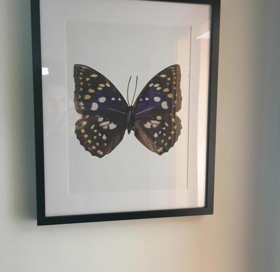 פנסיון Blackboard House