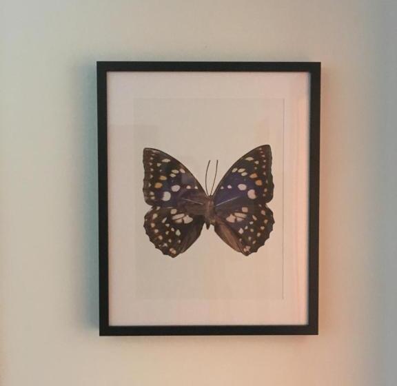 פנסיון Blackboard House