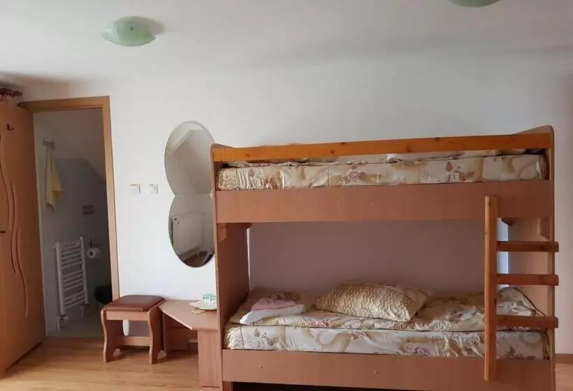 پانسیون Casa De Vacanta Macovei0744