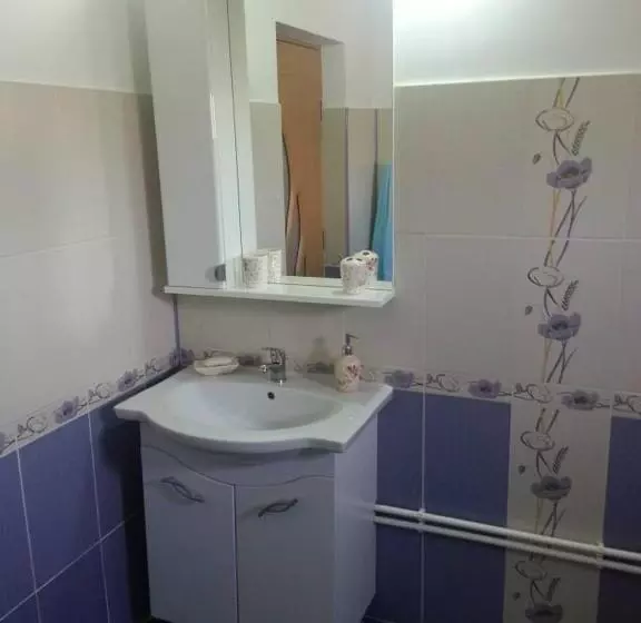 پانسیون Casa De Vacanta Macovei0744