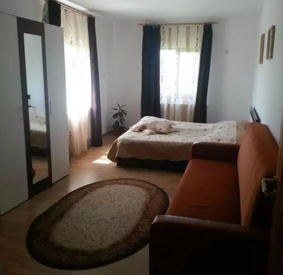 پانسیون Casa De Vacanta Macovei0744