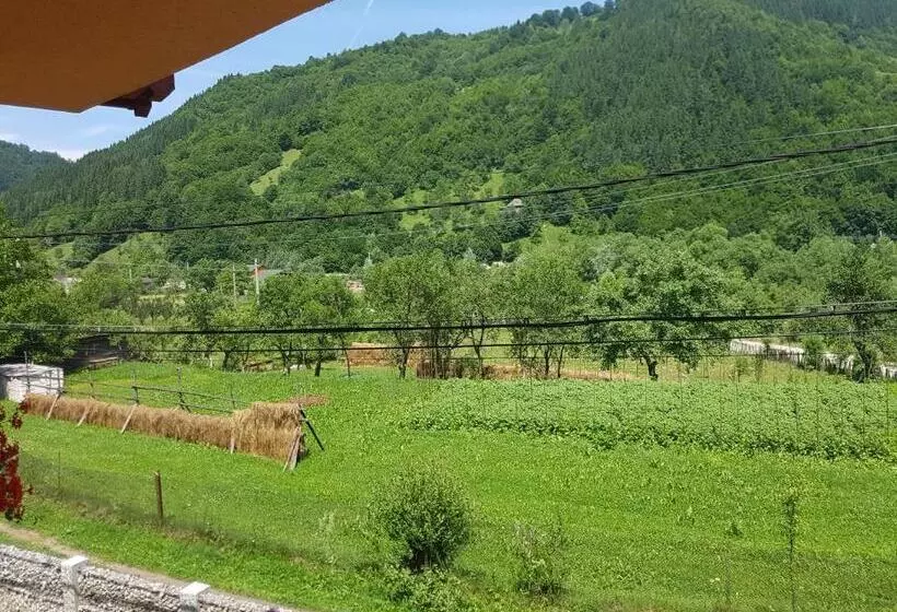 ペンション Casa Ile