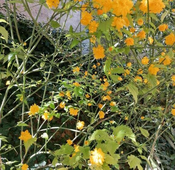 膳宿费 Jim Cosy & Spa