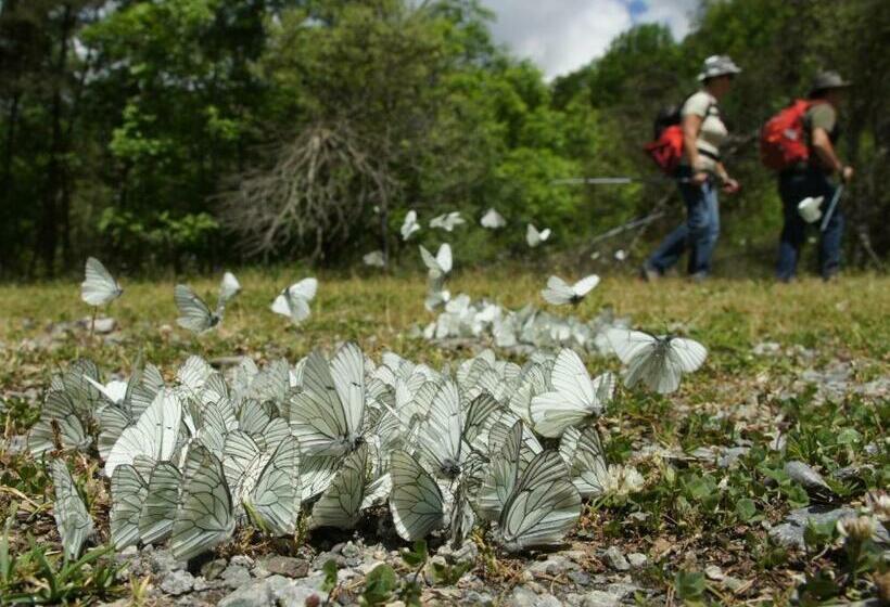 Bed and Breakfast Chambres D Hotes Les Clarines
