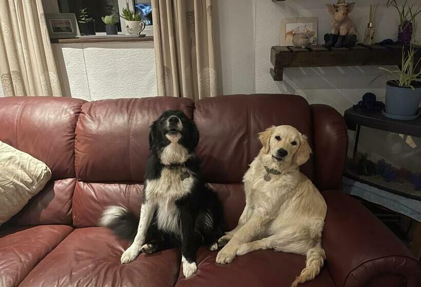 Cwtch Farm Bed & Breakfast