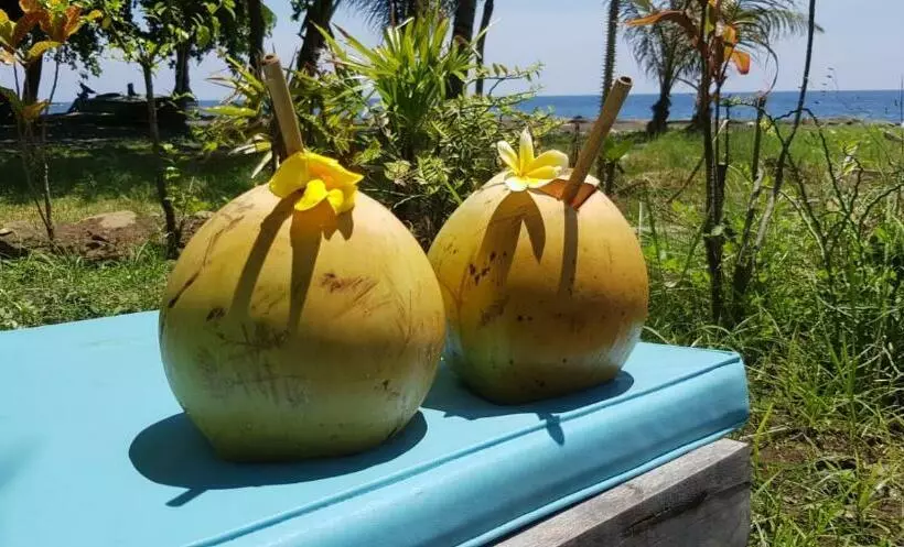 پانسیون Bali Segara Lestari Oceanfront Villas