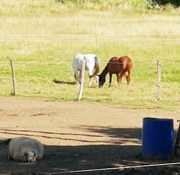 ペンション Chambres Entre Ventoux Et Luberon