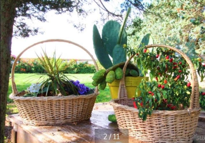 پانسیون La Dimora Di Nonno Nuccio