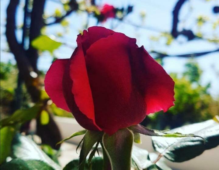 پانسیون La Dimora Di Nonno Nuccio