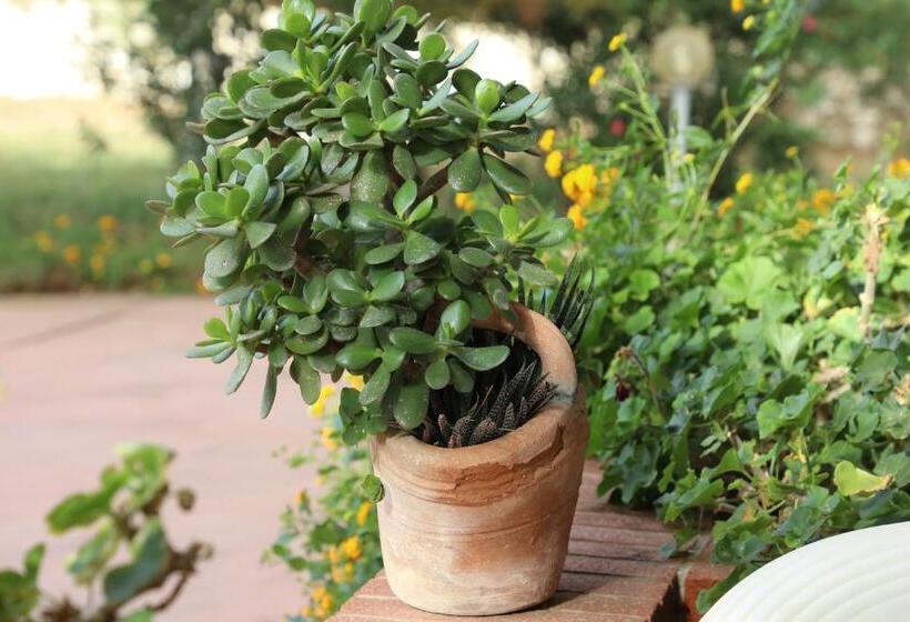 پانسیون La Dimora Di Nonno Nuccio