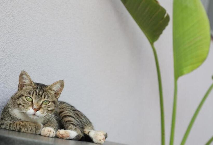 پانسیون La Dimora Di Nonno Nuccio