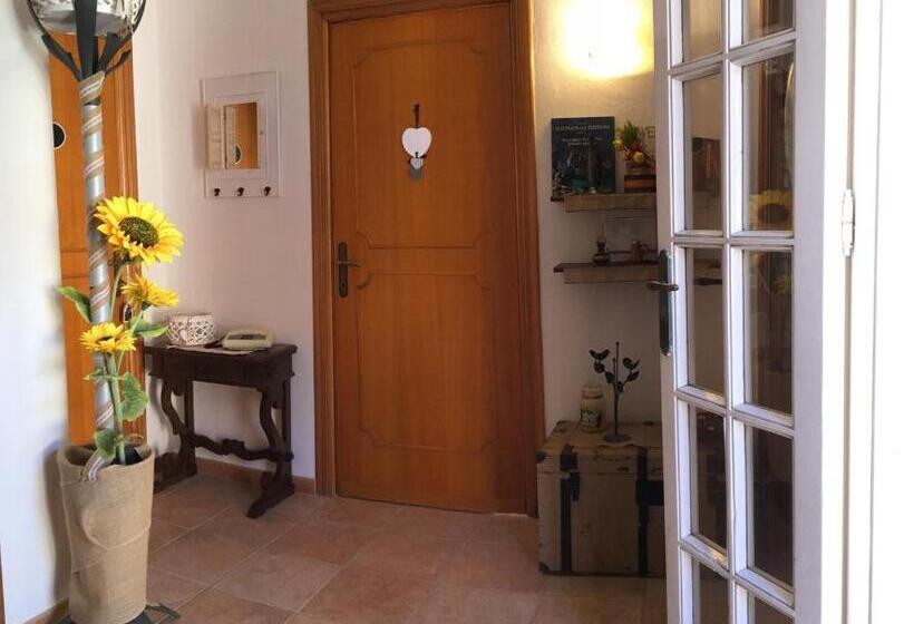 پانسیون Ncivico19 Lt