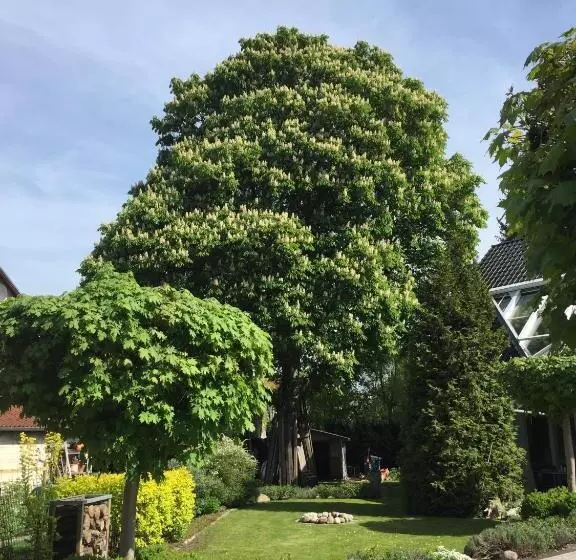 Majatalo Villa Auszeit