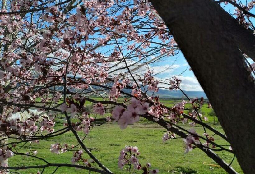 بنسيون Ferme D’hôte La Vallée