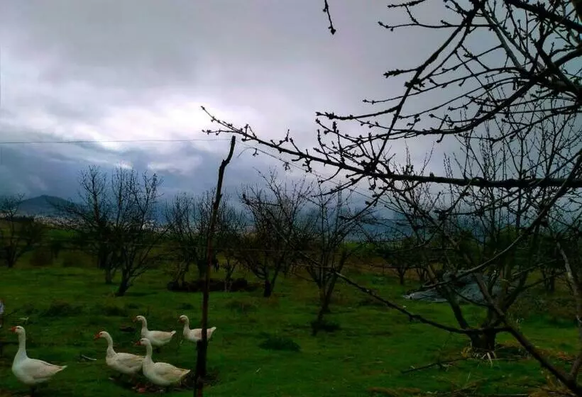 پانسیون Ferme D’hôte La Vallée