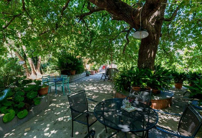 פנסיון Villa La Quercia