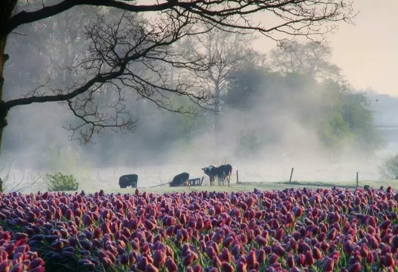 ベッドアンドブレックファースト Brinkesdiek