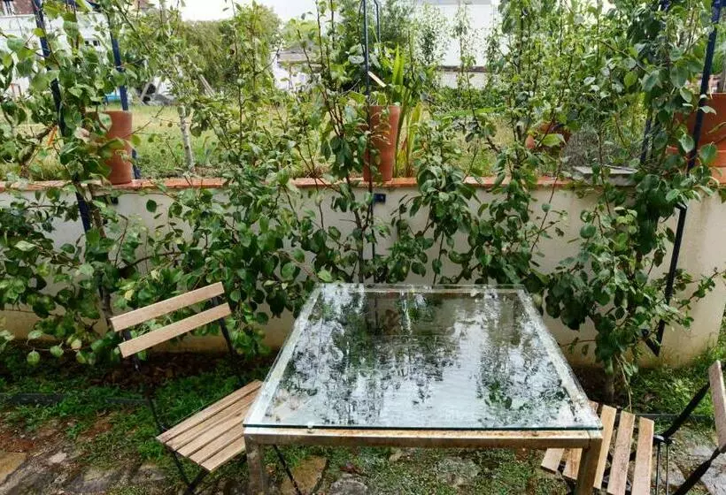 ベッドアンドブレックファースト Chambres D Hôtes Vue Sur La Muraille De Sens