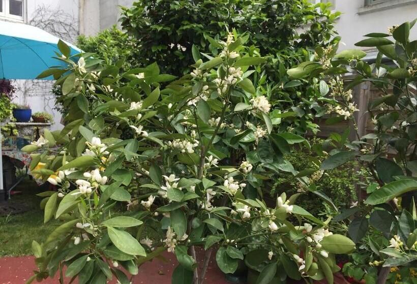 Bed and Breakfast Les Camélias